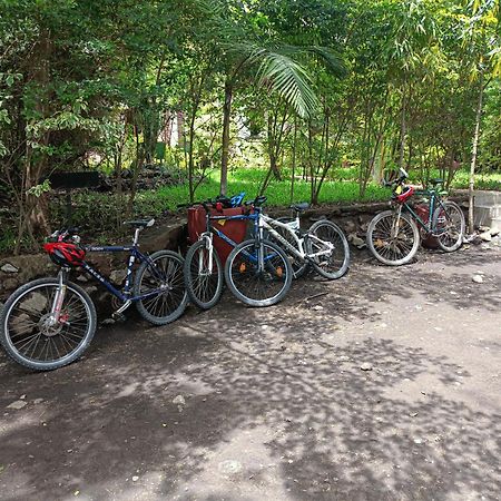 Shamba Hostel Usa River Экстерьер фото