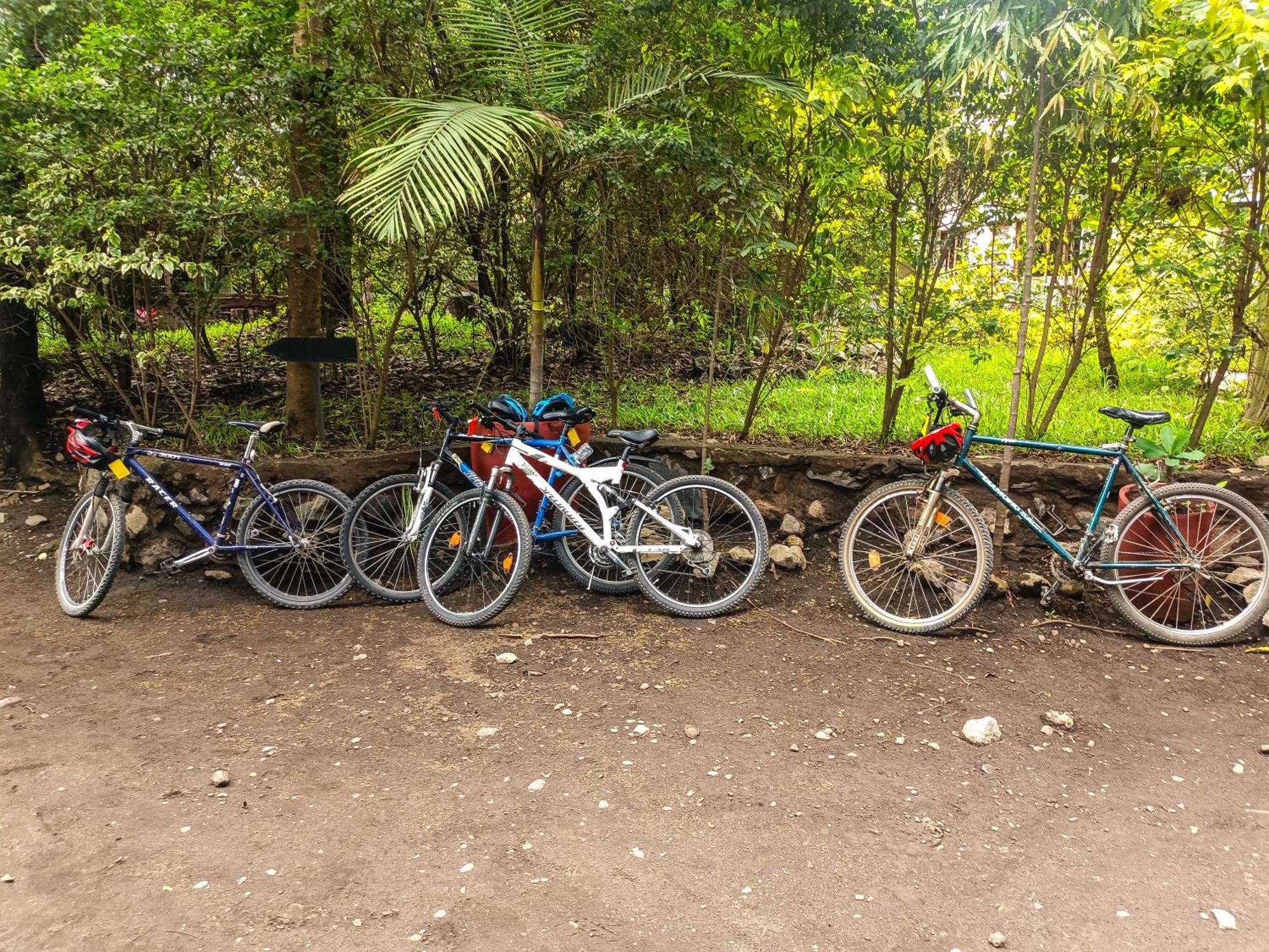 Shamba Hostel Usa River Экстерьер фото