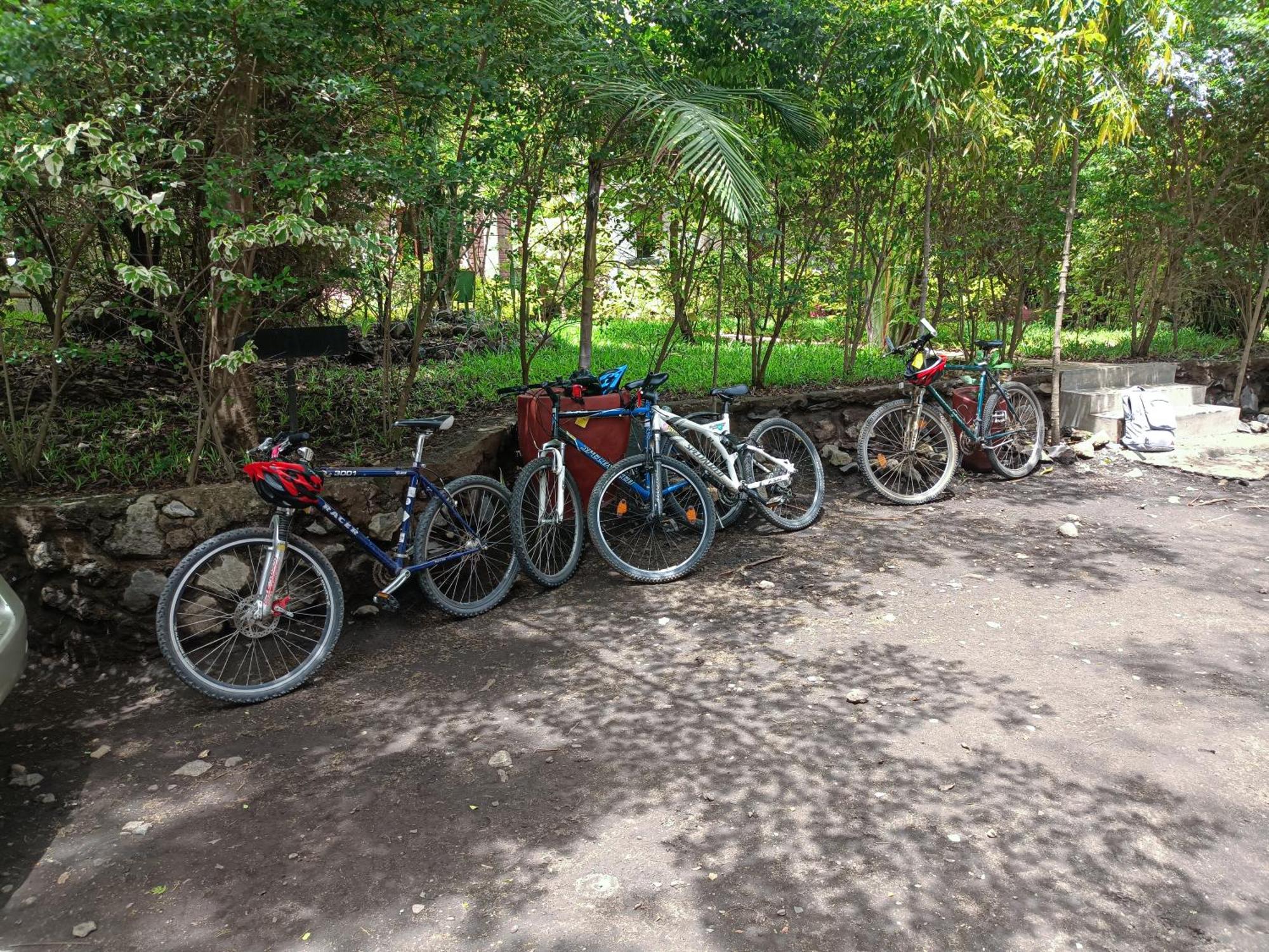 Shamba Hostel Usa River Экстерьер фото