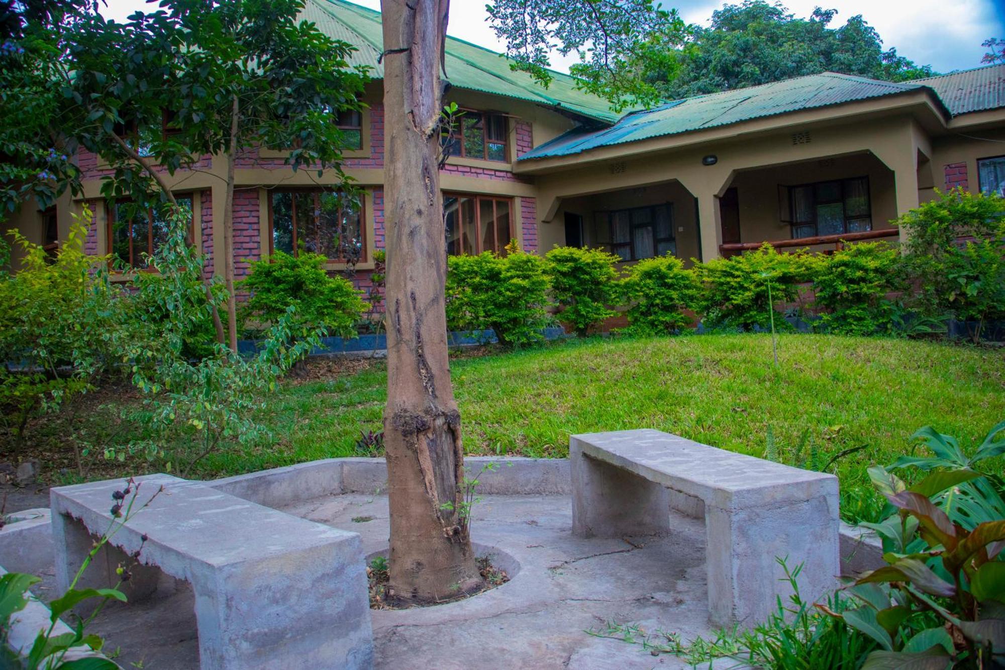 Shamba Hostel Usa River Экстерьер фото
