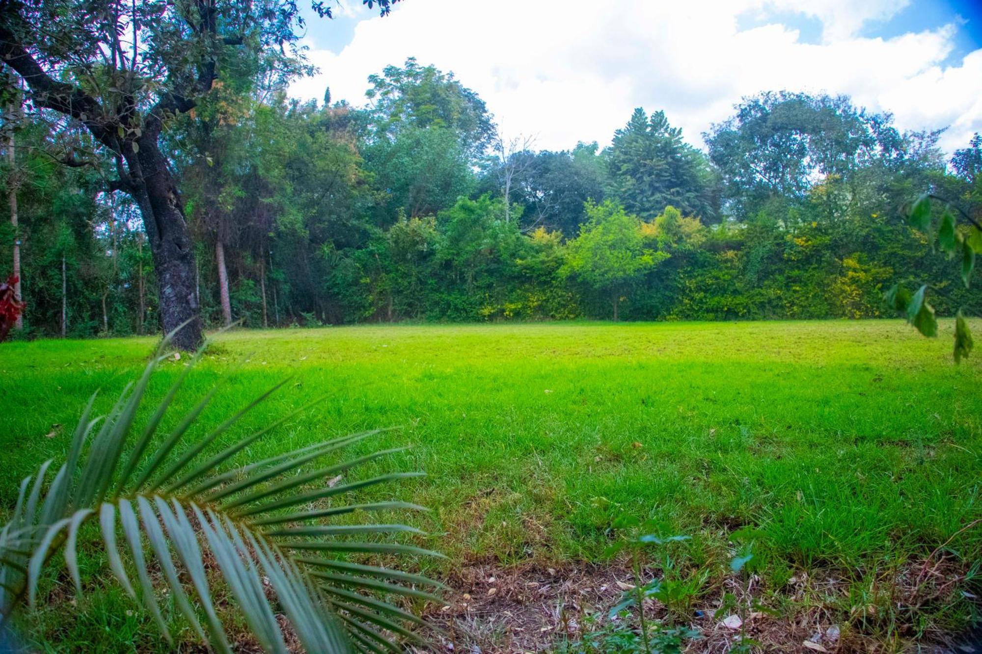 Shamba Hostel Usa River Экстерьер фото