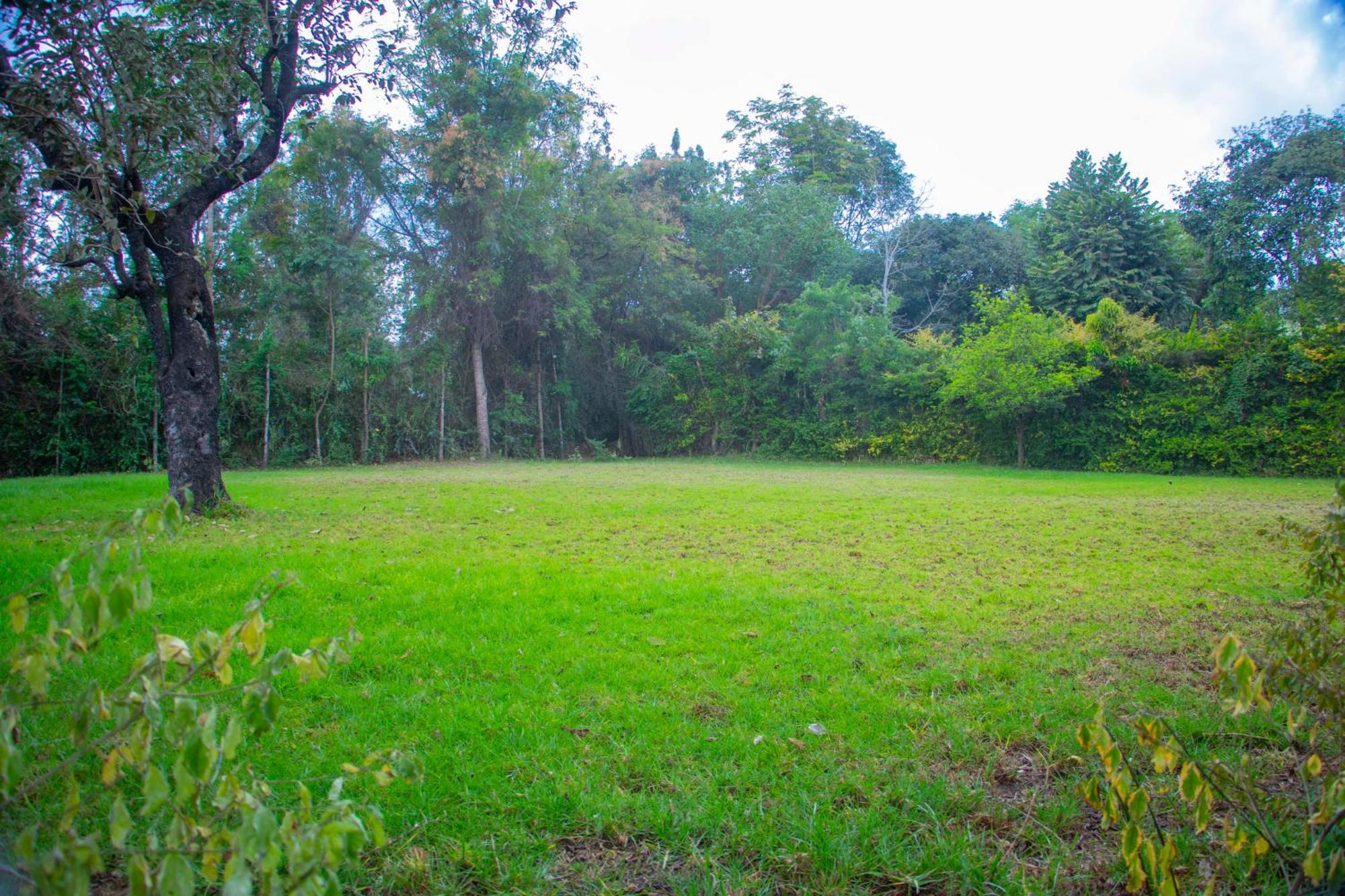 Shamba Hostel Usa River Экстерьер фото