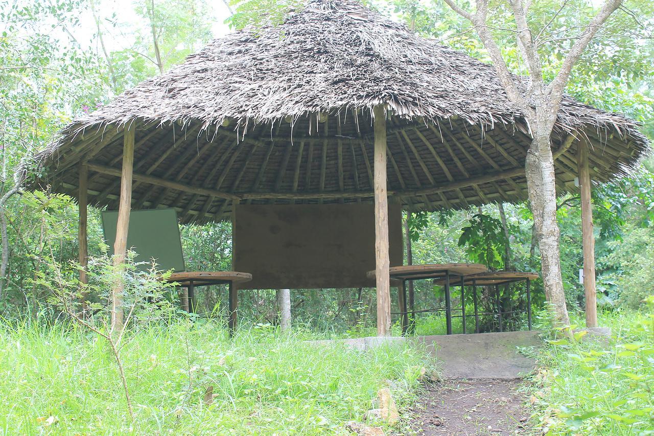 Shamba Hostel Usa River Экстерьер фото