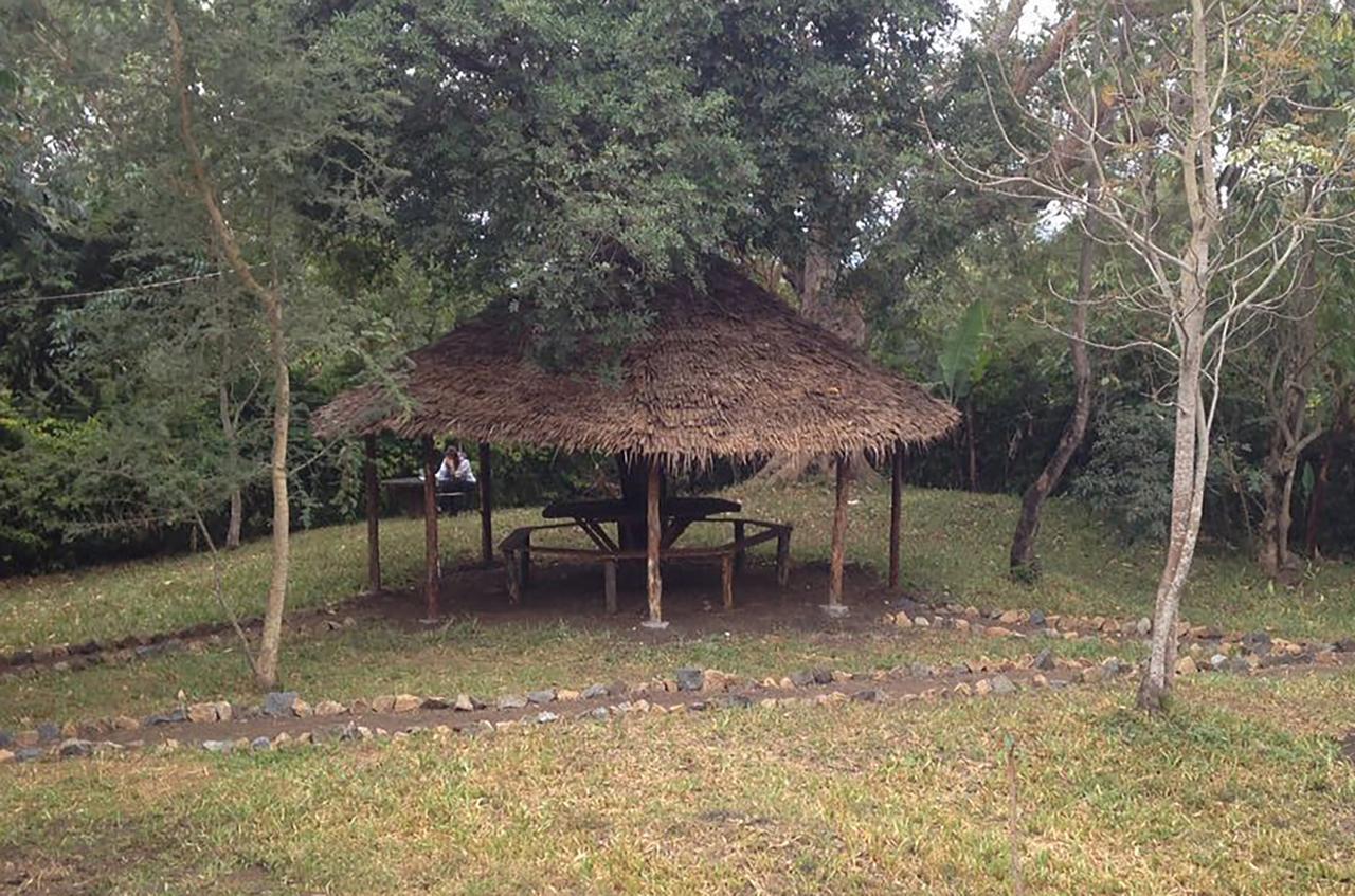 Shamba Hostel Usa River Экстерьер фото